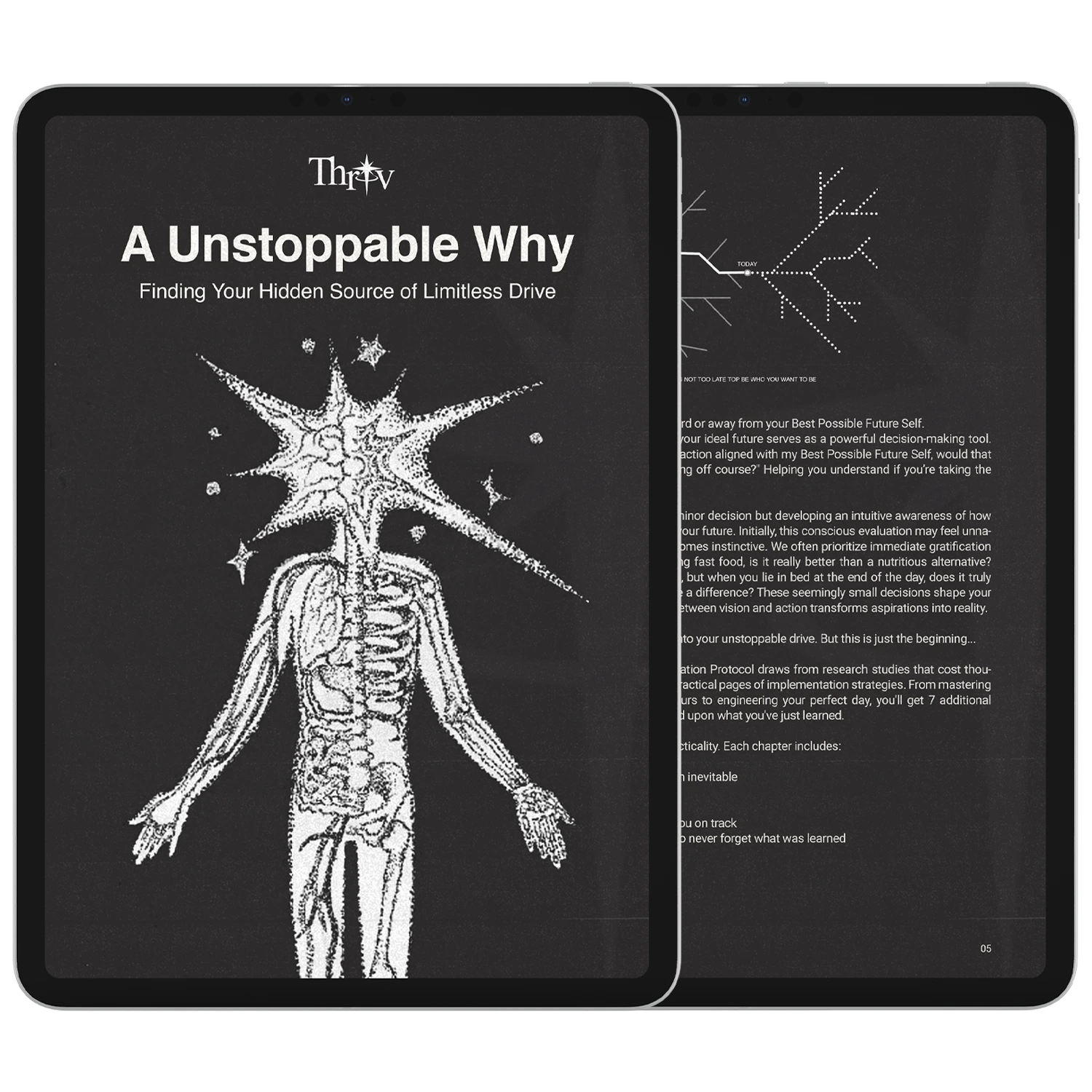 A Unstoppable Why Free Guide by usethriv.com (Thriv)