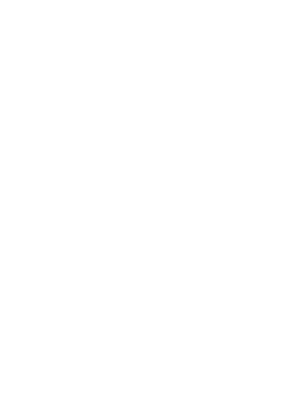 usethriv.com Thriv Logo Self-Improvement Productivity